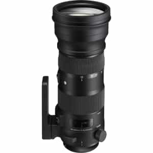 Sigma 150-600mm f/5-6.3 DG OS (HSM) S (Sports) Full-Frame Lens for Canon  EF-Mount {105} with Tripod Collar/Foot at KEH Camera