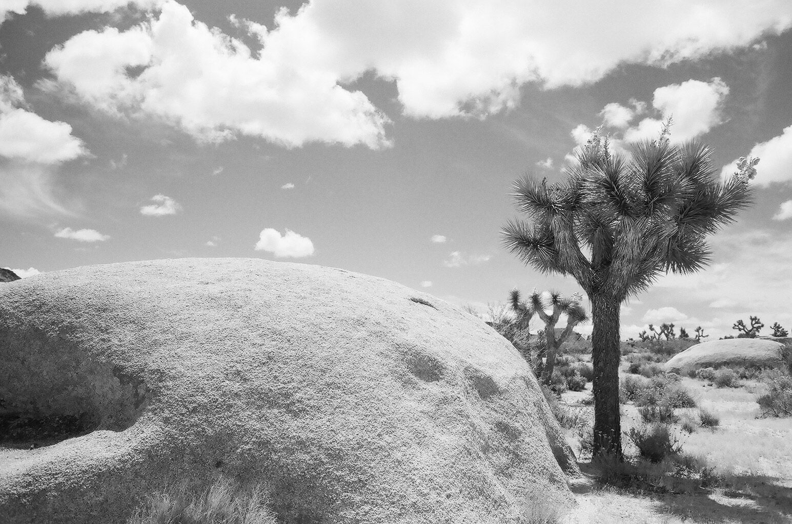 Photographers Insecurity 7 Ways to Beat Insecurity As A Photographer