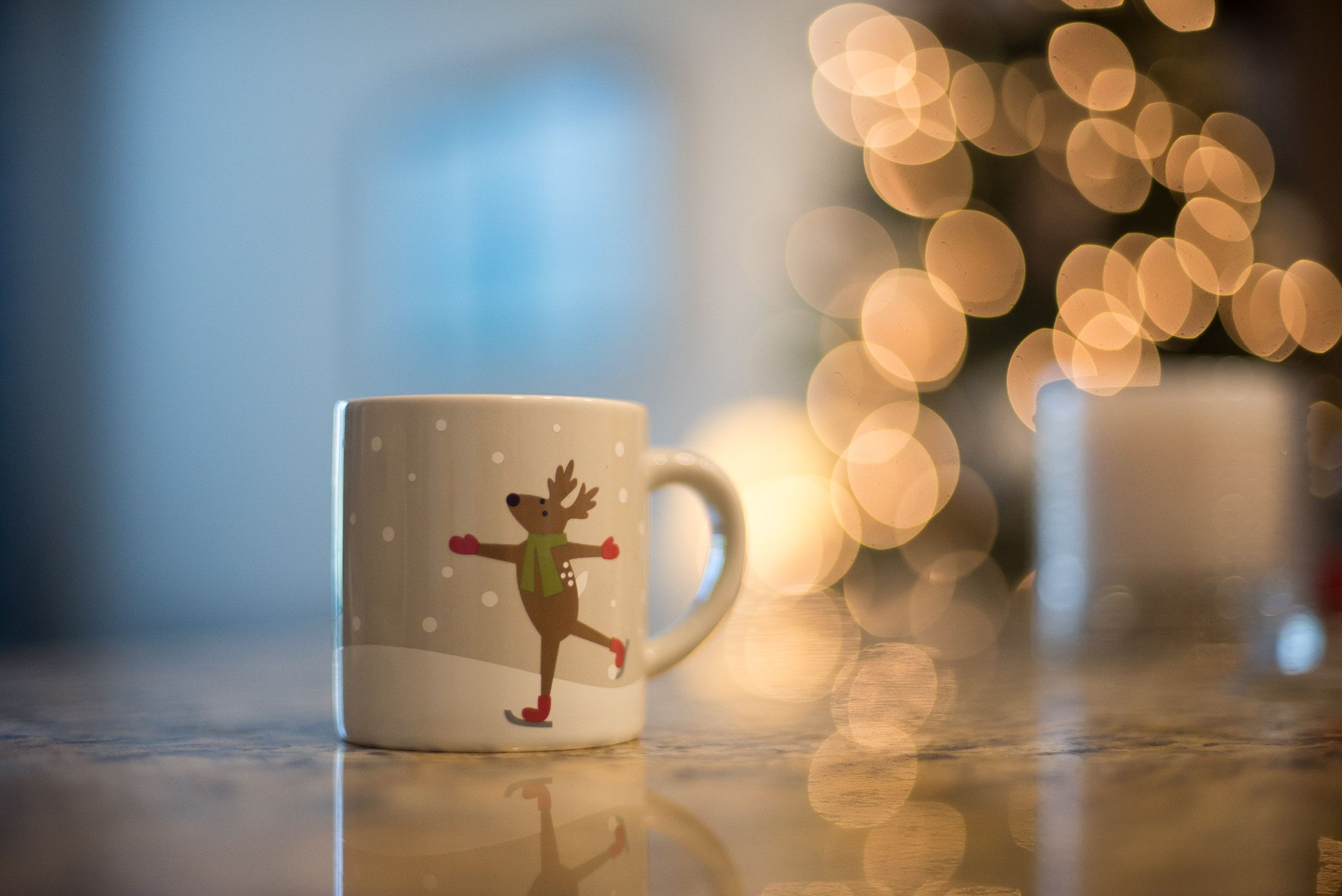 Holiday 1 - Expert Advice