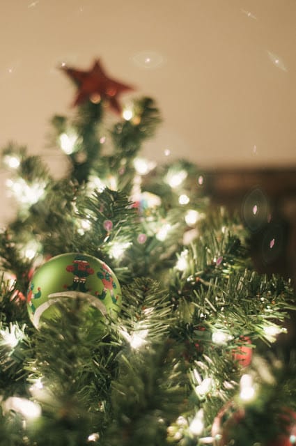 Holiday 2 - Expert Advice