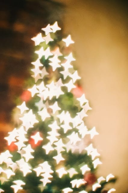 Holiday 3 - Expert Advice