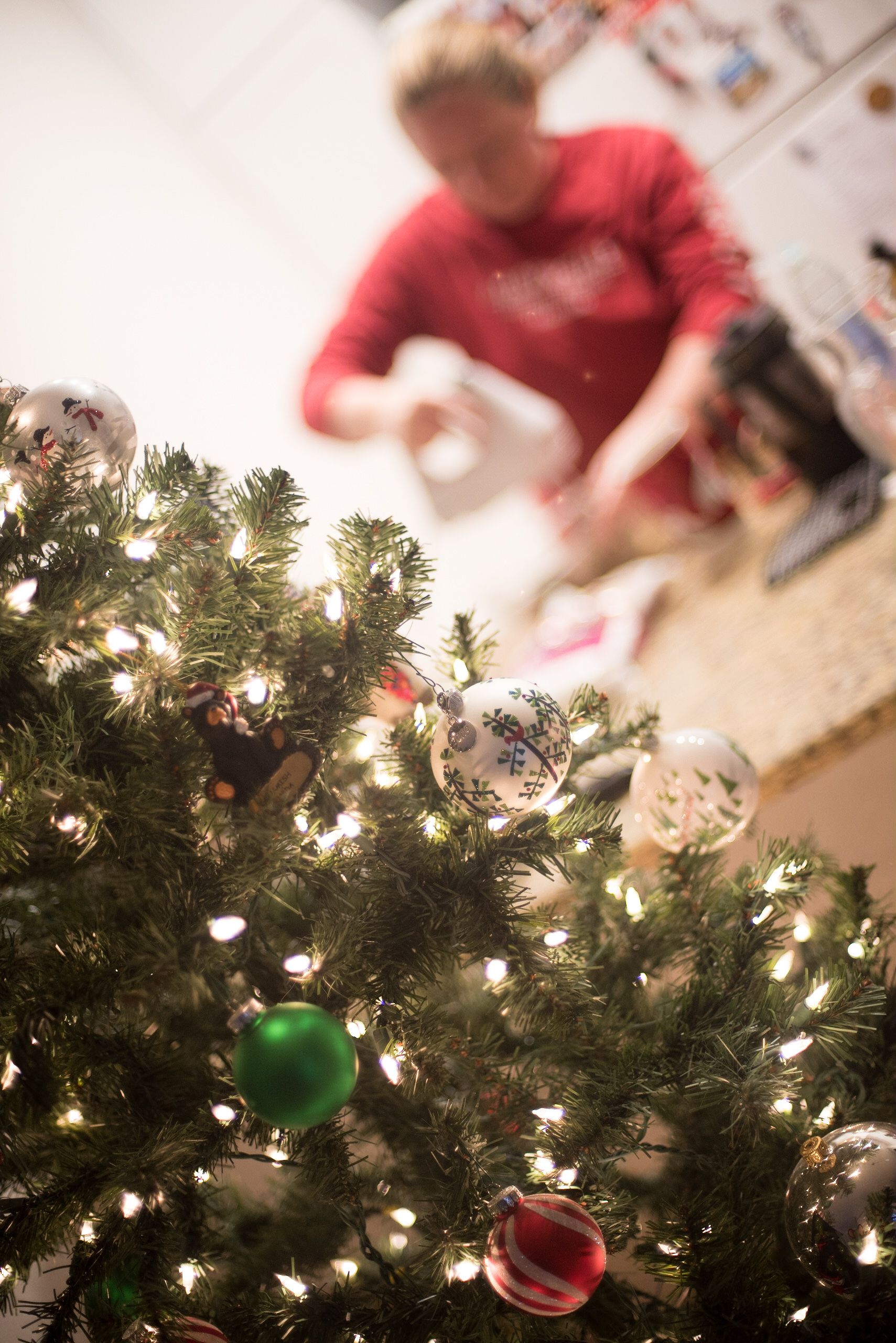Holiday 4 - Expert Advice