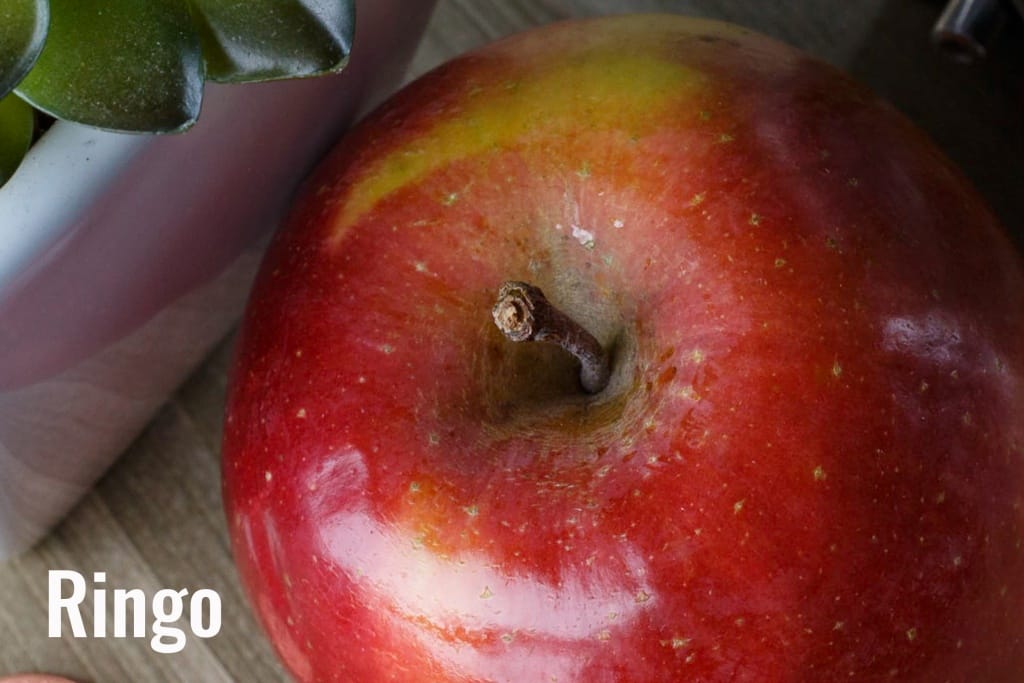 Does Camera Grade Affect Image Quality? - Expert Advice Does Camera Grade Affect Image Quality?