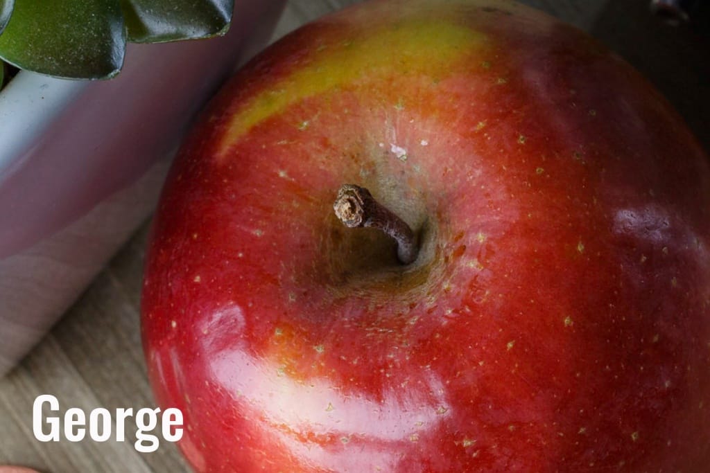 Does Camera Grade Affect Image Quality? - Expert Advice Does Camera Grade Affect Image Quality?