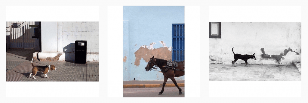 Inspiration Or Imitation: In Photography, What's The Difference? - Expert Advice Inspiration Or Imitation: In Photography, What's The Difference?