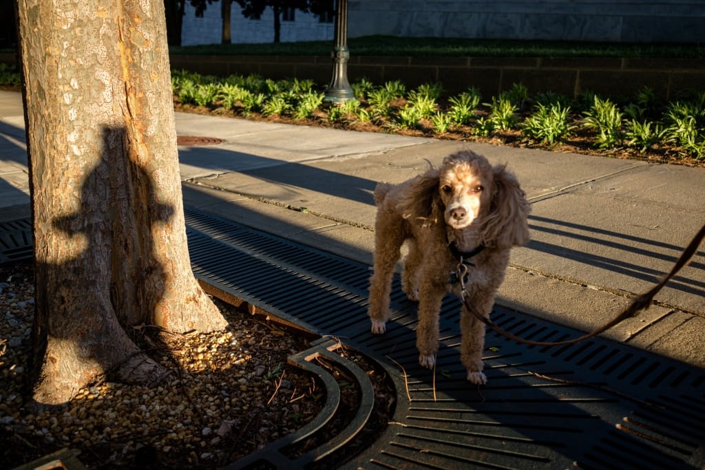 Our 10 Favorite Street Photography Digital Cameras In 2020