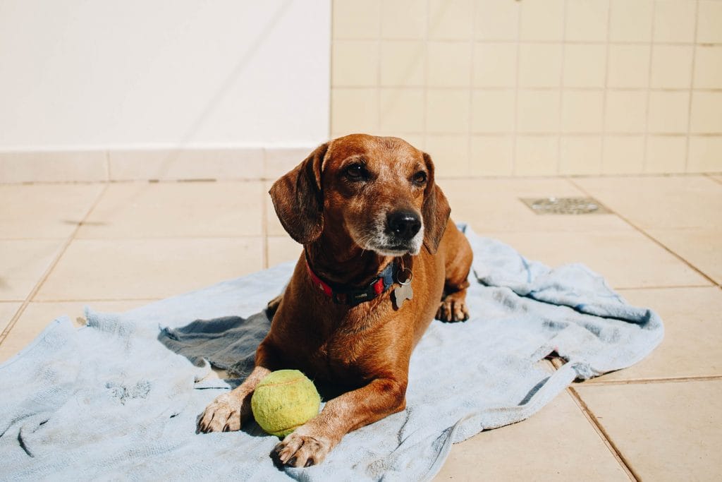 isabela-kronemberger-wPD_oM9zRT0-unsplash 2kpx - Expert Advice