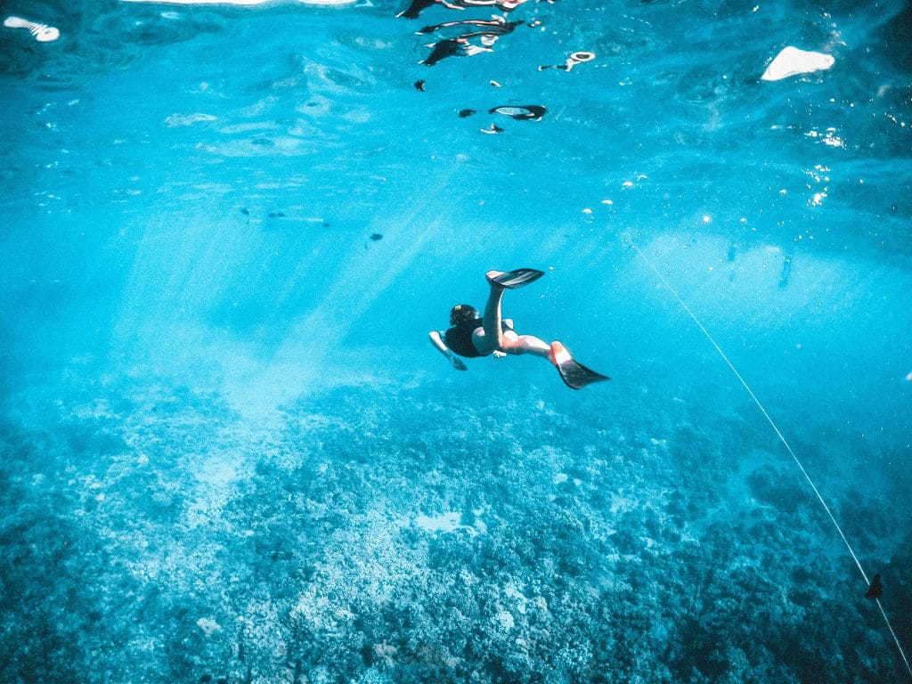 - Expert Advice swimmer with fins underwater in shallow water