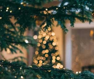 holiday-tips-blog - Expert Advice