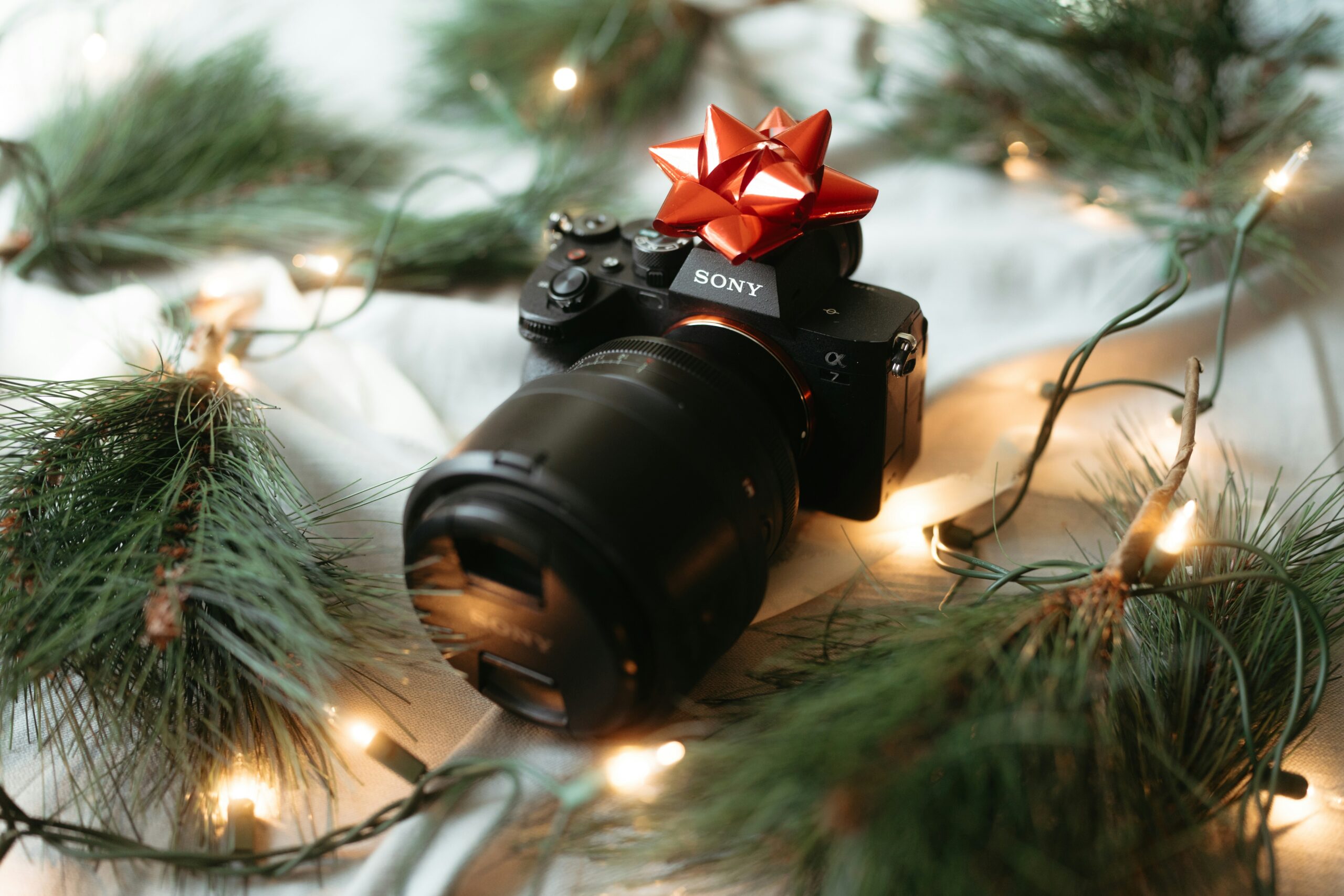 micah-sammie-chaffin-L707mYc7fV8-unsplash - Expert Advice