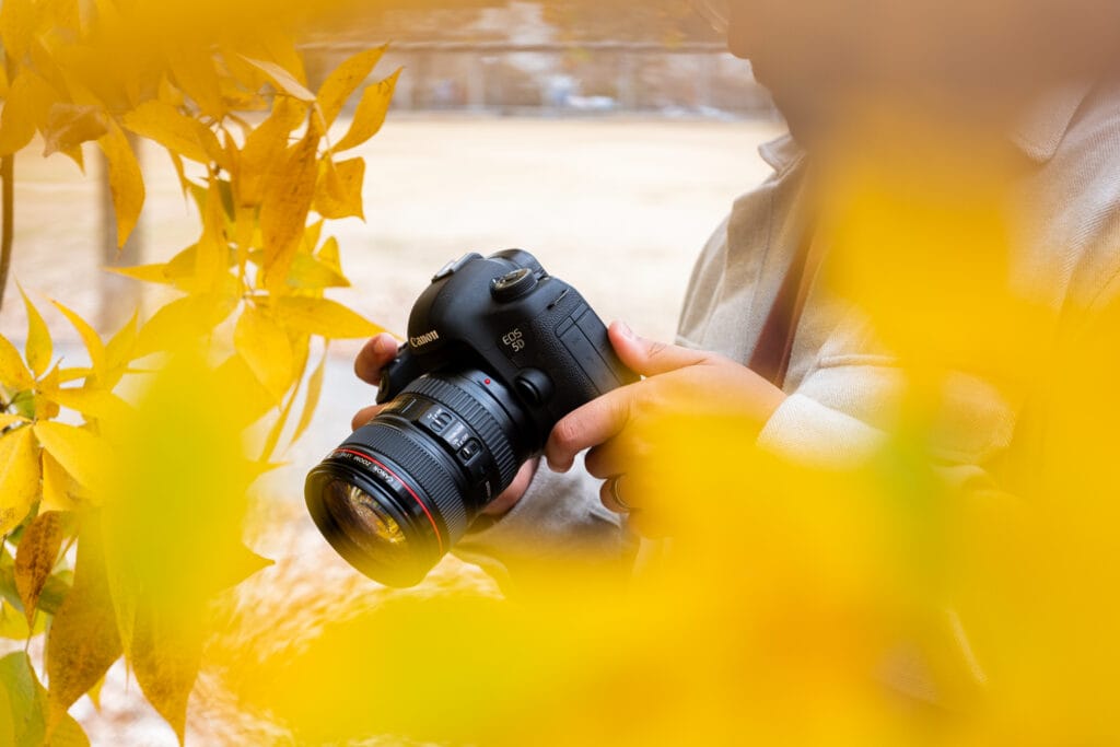 5 Types of Lenses for Better Fall Landscape Photography