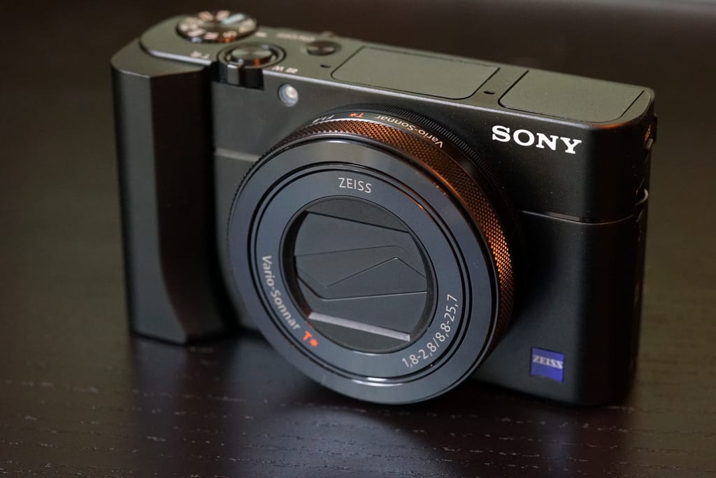 Stunning Performance From the Pocket-sized Sony RX100 Mark V