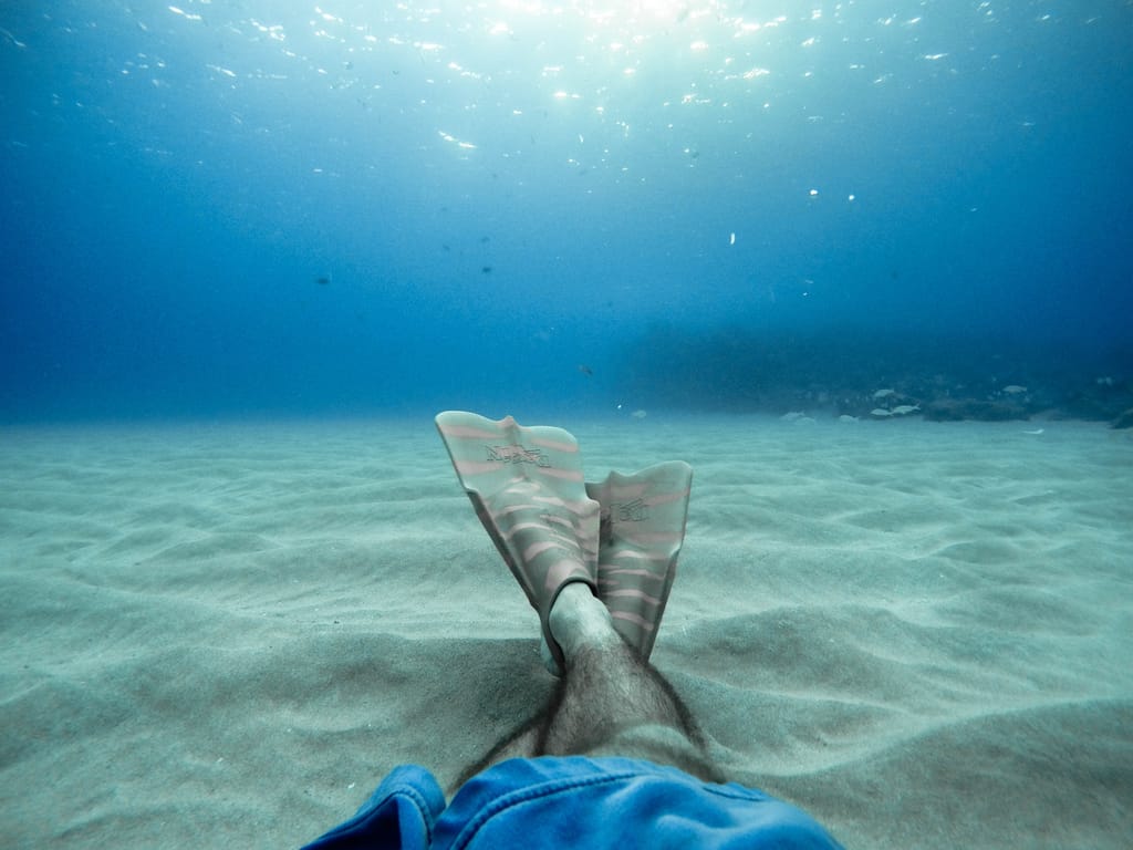 3 Tough Waterproof Cameras To Capture Your Summer Fun